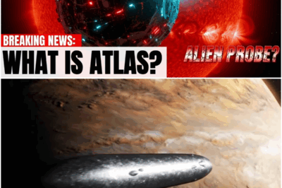 RED ALERT: “Atlas” Object Vanished. Avi Loeb Warns It’s “Observing Us”