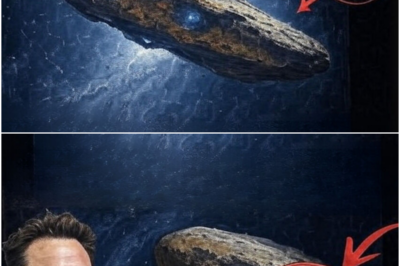 SCARY! Elon Musk admits to having direct contact with aliens – and what he said left the scientific community speechless!