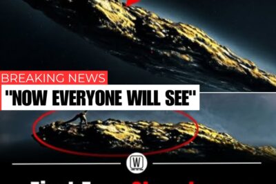 UFO Appears in the Sky – First Clear Image of Interstellar Visitor 3I ATLAS