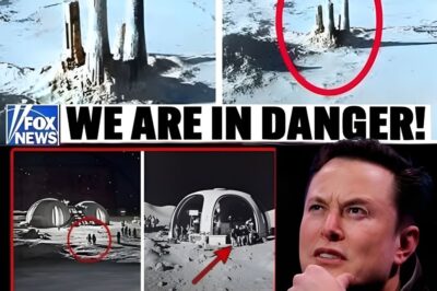 Elon Musk Shouts, “We Are NOT Ready!” as the James Webb Telescope Reveals Colossal Alien Cities on Proxima B