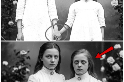 This 1895 Photo of a Girl Holding Her Sister’s Hand Seemed Normal — Until Restoration Revealed