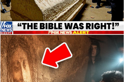 Scientists Reveal Ancient Garden Beneath Jesus’ Tomb in Jerusalem That Could Rewrite Gospel History