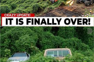 “They Mocked Alabama’s Wild Plan to Eradicate Kudzu… Until the Ground Started Changing Before Their Eyes 😨🛑🌱”