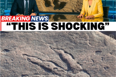 Scientists Discover Thousands of Dinosaur Footprints — But the Panic Frozen in Stone Is What Truly Terrifies Them