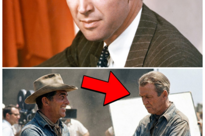🐘 “Hollywood’s Unlikely Encounter”: James Stewart’s Silent Walks and Dean Martin’s Canyon Surprise! 🌄 “When silence speaks louder than words, the truth emerges!” James Stewart was known to walk away every time Dean Martin tried to engage him, creating an air of mystery. However, everything changed during a pivotal moment in the canyon that left everyone stunned. What did Dean do that finally captured Stewart’s attention, and how did it transform their interaction? Get ready for a captivating tale from Tinseltown! 👇