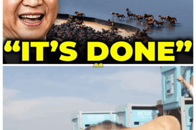 They Released A Herd Of Extinct Horses Into China’s Desert… What Happened Next Shocked Biologists