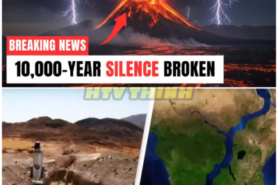 🦊 After 10,000 Years of Eerie Geological Silence, Africa’s Ancient Rift ROARS Back to Life—A Planet-Shaking Split That Scientists NEVER Saw Coming 🌍⚡