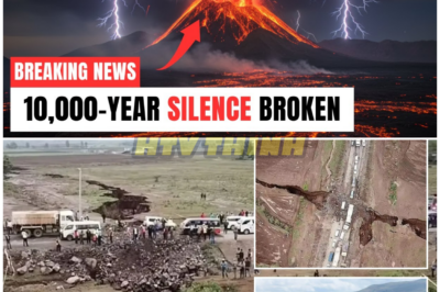 🦊 Earth’s Most Mysterious Fracture AWAKENS: New Evidence Suggests Africa Is Splitting Right Now—And the Consequences Could Be Unlike Anything in Human History 🌋