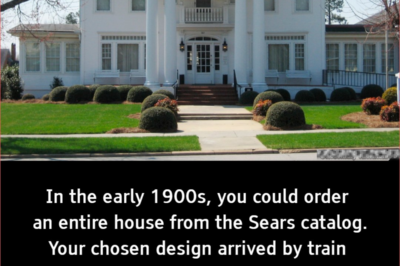 📦 From Catalog to Construction: The Incredible Story of Sears’ Mail-Order Homes and Their Lasting Legacy! 📦