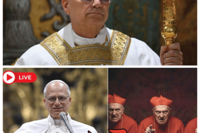 For CENTURIES, the CATHOLIC CHURCH has moved cautiously when speaking about its future