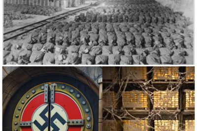 🏴‍☠️ “The Lost Gold Vault of Hitler — Hidden for Decades Beneath an Abandoned Gold Mine — What They Found Will Shock You!” After decades of speculation, the truth about Hitler’s hidden gold vault has finally been uncovered, and the findings are more shocking than anyone could have imagined. Beneath an abandoned gold mine, experts discovered a treasure trove of Nazi-era gold, rare artifacts, and cryptic documents that suggest a far darker plan was at play. What was hidden in this secret vault raises disturbing questions about the lengths to which the Nazis went to secure their wealth 👇