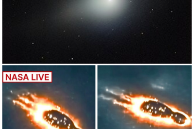 🐘 “Cosmic Catastrophe? James Webb Telescope Confirms 3I/ATLAS Is Colliding with Mars! 🌍🚨” “When the universe throws a curveball, we must be ready!” In a groundbreaking discovery, the James Webb Telescope has confirmed that the asteroid 3I/ATLAS is on a collision course with Mars. This revelation has ignited a flurry of research and debate regarding the possible outcomes of this impending impact. What does this mean for Mars, and how might it affect future missions to the planet? Join us as we explore the implications of this alarming news! 👇