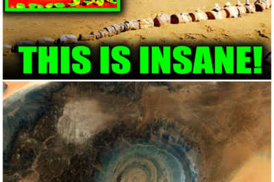 👁️ NASA’s Satellites Found a Perfect Bullseye Under the Sahara—and the Earth Isn’t Supposed to Do This