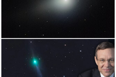 🐘 The Cosmic Countdown: Interstellar Object 3I/Atlas Approaches Earth—What to Expect! 🌍 “Could this be the closest we’ve ever come to an alien visitor?” With only six days until interstellar object 3I/Atlas reaches its closest point to Earth, Harvard’s Avi Loeb is providing the latest updates on this thrilling event. As scientists prepare for the encounter, what groundbreaking revelations might emerge from this mysterious object? Don’t miss the chance to learn more about this cosmic spectacle! 👇