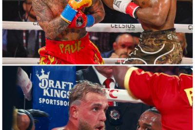 🐘 MVP UNCUT: Jake Paul vs. Anthony Joshua – The Fight You Didn’t See! ⚡ “Prepare for an exclusive look at the gritty details!” In this MVP UNCUT special, we explore the untold stories and unseen moments from the fight between Jake Paul and Anthony Joshua. From training camp to the final bell, what were the highlights and lowlights of this dramatic bout? Join us as we uncover the truth behind the headlines! 👇