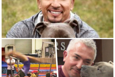 For YEARS, CESAR MILLAN has built a global reputation as the calm authority on canine behavior