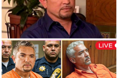 For HOURS, social media exploded with claims that CESAR MILLAN