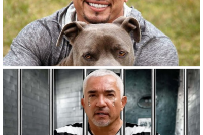 The Untold Truth Of The Dog Whisperer