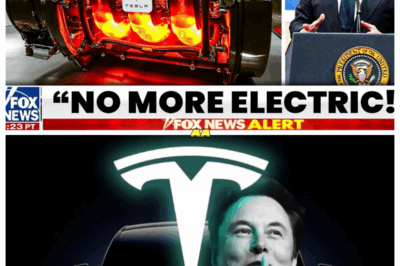 Elon Musk’s New Engine Just Ended the EV War