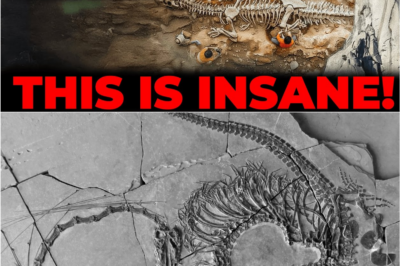 “Global Frenzy After Scientists Uncover Ancient ‘Dragon Bones’ in China 🐲💥—The Truth Behind the Fossil Is Stranger and DARKER Than Any Myth…”