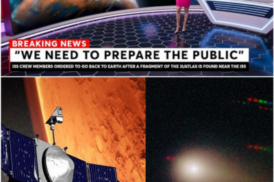 NASA’s MAVEN Probe Goes Silent After Mysterious Encounter With Interstellar Object 3I/ATLAS