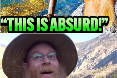 Dan Hurd Strikes Gold: How a Simple Method Is Yielding Thousands in Hidden Treasure