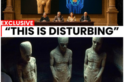 🦊 OLDER THAN CIVILIZATION—AND TERRIFYINGLY OUT OF PLACE: THE DISCOVERY SCHOLARS WISH HAD STAYED BURIED 🗿