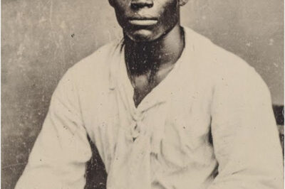 The Terror of Louisiana, the Slave Who Felt No Pain — He Survived the Whip, the Bullet, and the Fire