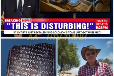 😱 King Solomon’s Tomb Has Finally Been Unveiled After 5,000 Years — And What Scientists Found Inside Has Left the Entire World Stunned