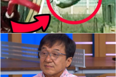 Behind the Bruises and Broken Bones: The Quiet, Unexpected Life Jackie Chan Lives When the Cameras Stop Rolling