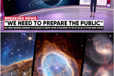 James Webb Telescope Reveals a Universe Far More Mature Than Expected at the Edge of the Observable Cosmos