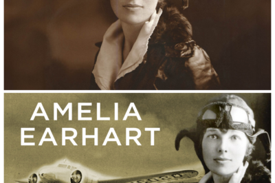 Where Is Amelia Earhart’s Plane? Inside the New Mission to Find It