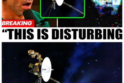 Voyager 2’s Final Transmission JUST STOPPED THE WORLD