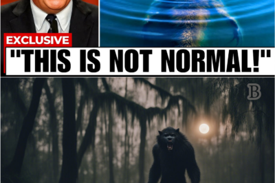 “BREAKING: Massive Unknown Predator Emerges in Louisiana Bayous 🐊💀—Experts Terrified by Footage Too Disturbing to Air…”