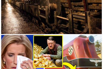 🏴☠️ “The Nazi Gold Train Was Real… And It Was Worse Than We Thought — What They Found Will Terrify You!” The legendary Nazi gold train, long thought to be a myth, has been confirmed, and the truth behind it is far darker than anyone could have imagined. Experts have uncovered more than just gold — hidden weapons, ancient relics, and even secrets that could have altered the course of history. What was found inside the train’s vaults is more horrifying than we ever realized, and it raises chilling questions about what the Nazis were really up to 👇