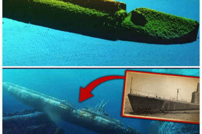 🌊 “The Deep-Sea Search For Two American Submarines Lost in 1944 — What They Found Will Shock You!” After decades of mystery, the deep-sea search for two American submarines lost in 1944 has finally yielded stunning results. What the team uncovered beneath the waves is more horrifying than anyone expected. Hidden in the wreckage were secret military documents, eerie artifacts, and evidence of a catastrophic failure that could have changed the course of history. The chilling discovery raises new questions about WWII and the fate of those lost in the deep 👇