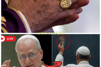 ✝️ Pope Leo XIV Was Seen Standing in the Rain… Holding His Papal Ring Out to the Sky — The Meaning Will SHOCK You 😱 In a surreal and symbolic moment, Pope Leo XIV was seen standing alone in the rain, holding his papal ring out to the sky. What was the Pope trying to communicate with this powerful gesture? The significance behind this action has left many in awe and confusion, sparking widespread speculation about what it truly meant. This mysterious moment could be a profound message from the Pope, and the truth behind it will leave you speechless. 👇