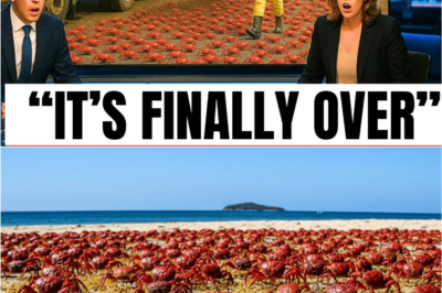 ⚠️🌊 “Biologists Tried a ‘Simple Fix’ on Crab Island—Then the Ant Killers Took Over, Triggering a Shockwave of Events…”