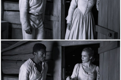 Master’s Wife Walks Into the Slave Quarters Late at Night — What She Asked Shocked Him