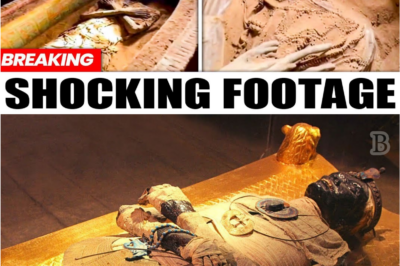 “😨 UNBELIEVABLE DISCOVERY?: Reports Say Akhenaten’s Tomb Was Finally Opened — The Mummy’s Condition Changes Everything”
