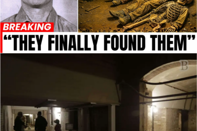 “Archaeologists Uncover Secret Labyrinth Beneath Alcatraz — What They Saw Inside Left Veterans Speechless and Shaking 😨🧩🔥”