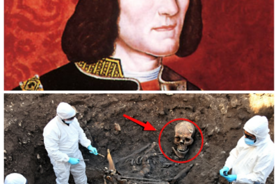 DNA of King Richard III Has Finally Been Analyzed — And What It Revealed Is Terrifying