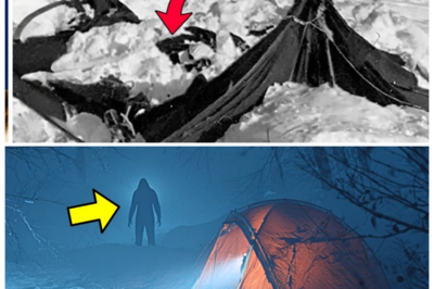 💥 “Dyatlov Pass Mystery FINALLY Solved in 2025 — And It’s WAY Worse Than You Think!” After more than 60 years of unanswered questions, the Dyatlov Pass mystery has finally been solved — but the truth is far more disturbing than anyone could have imagined. New research into the hikers’ tragic deaths reveals that what happened that night wasn’t just a freak accident, but the result of dark forces at play. The shocking findings raise unsettling questions about what really happened to the hikers, and the truth is darker than we ever realized 👇