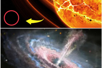 The First Stars Were Supposed to Die — So Why Do Scientists Think Some May Still Exist?