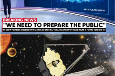 WEBB’S SHOCKING DISCOVERY: THE INTERSTELLAR OBJECT THAT TURNED AND “LOOKED BACK” AT US