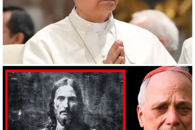 Pope Leo: “I Just Read The Shroud of Turin Documents, And What They Said TERRIFIED Me...“