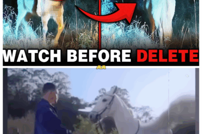 Real MYTHICAL CREATURES Caught Alive on Camera — Footage That Shouldn’t Exist!