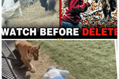 NO ONE BELIEVED It… Until Zoo Staff Captured This Insane Footage on Camera!