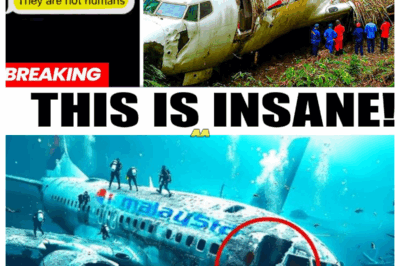 Flight MH370 Passenger Sent Terrifying Text Message That Solves the Disappearance
