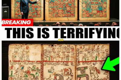 Mayan Codex Just Translated With AI — And What It Reveals Is Not Good